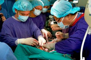 Kỷ lục, Việt Nam thực hiện đồng thời lấy 6 tạng từ người cho chết não, cứu sống 5 bệnh nhân